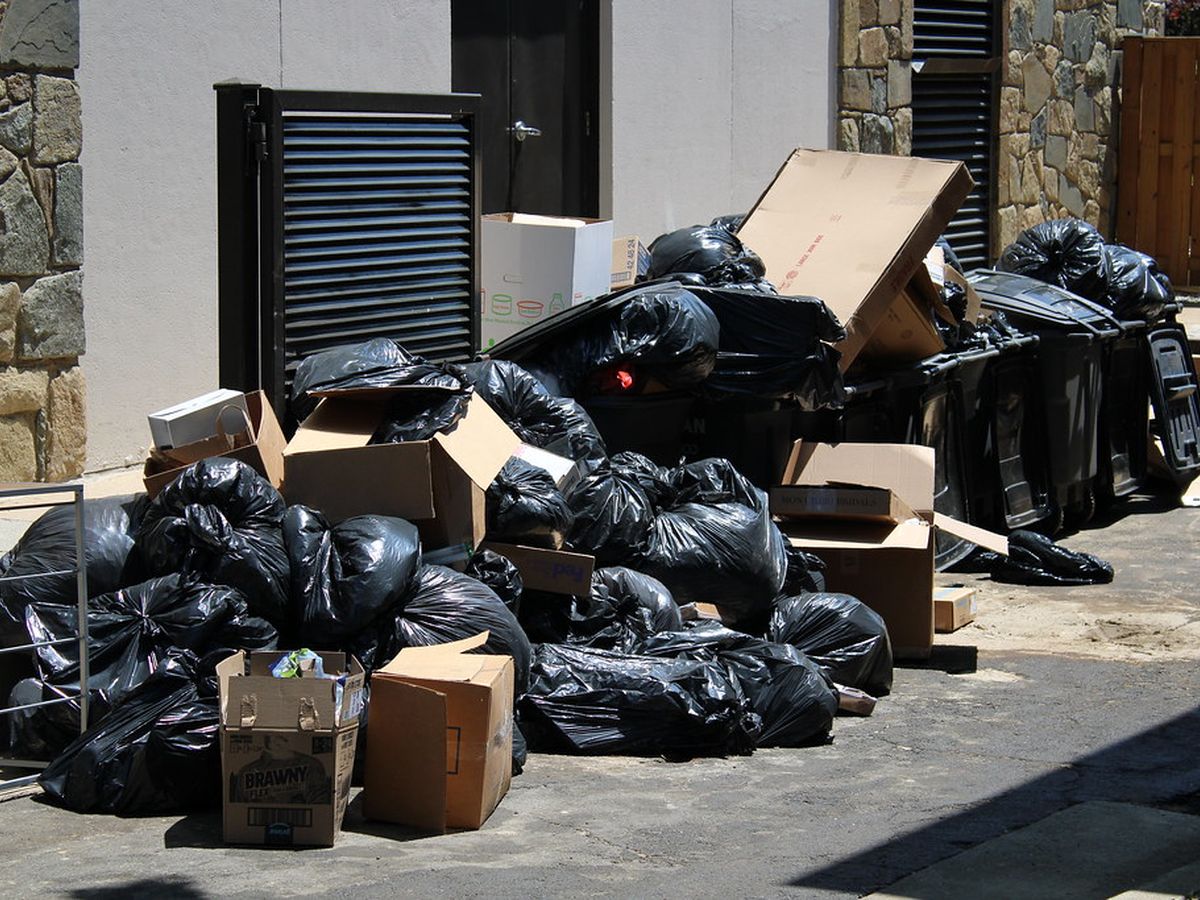 Before: Junk removal