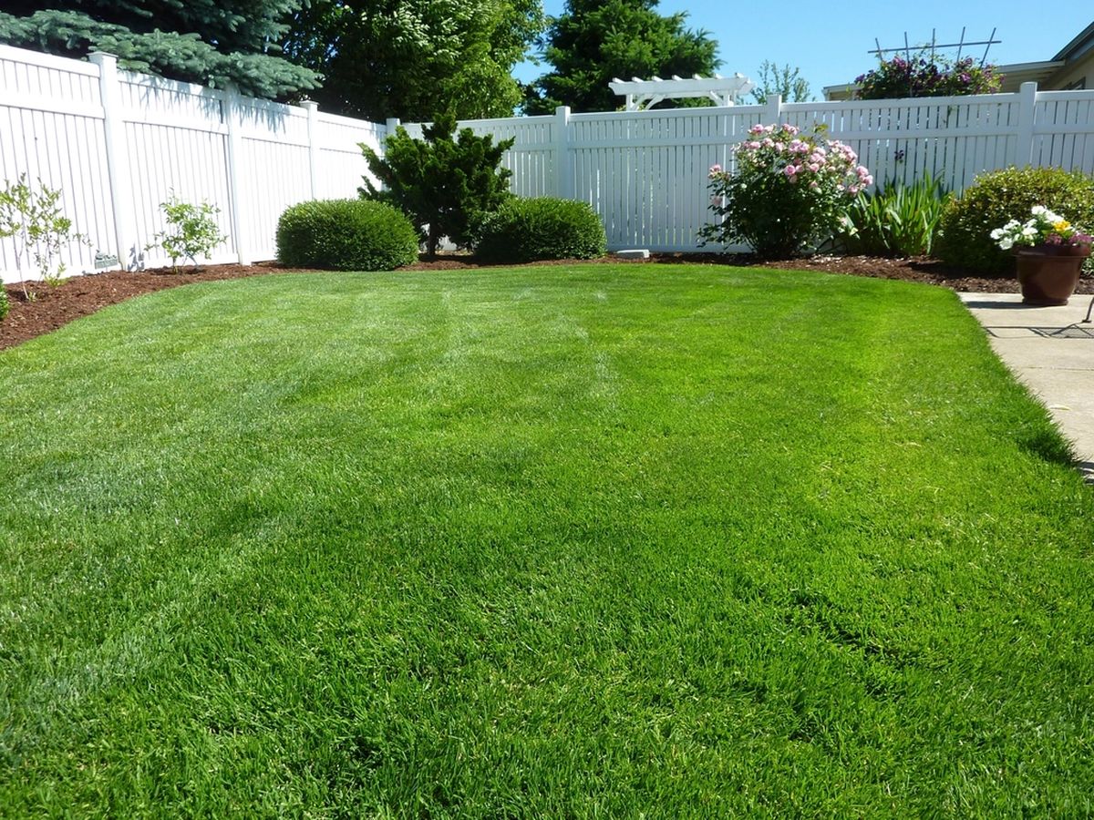 After: Yard clean up